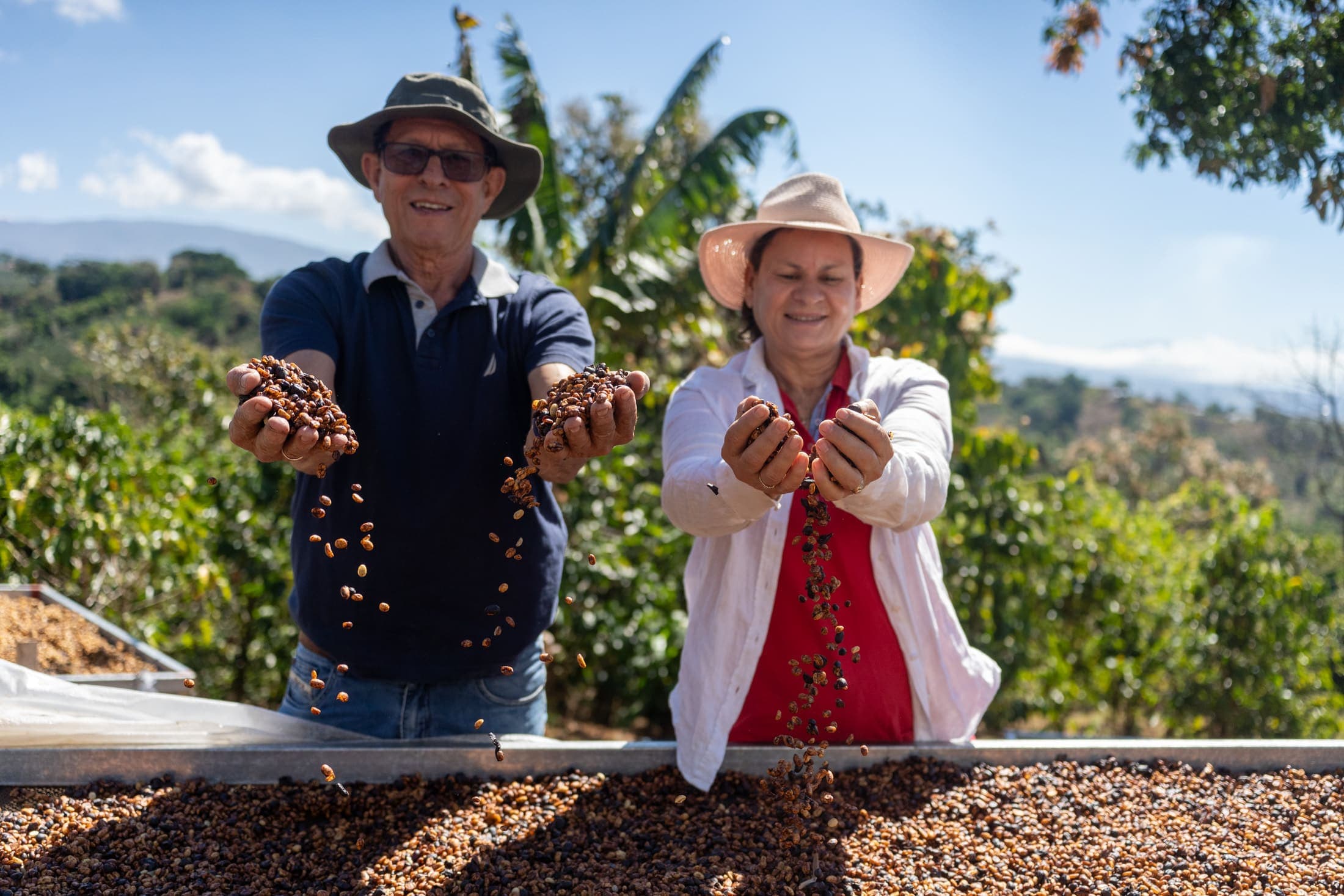 Geisha lot — specialty beans, Naranjo, Costa Rica