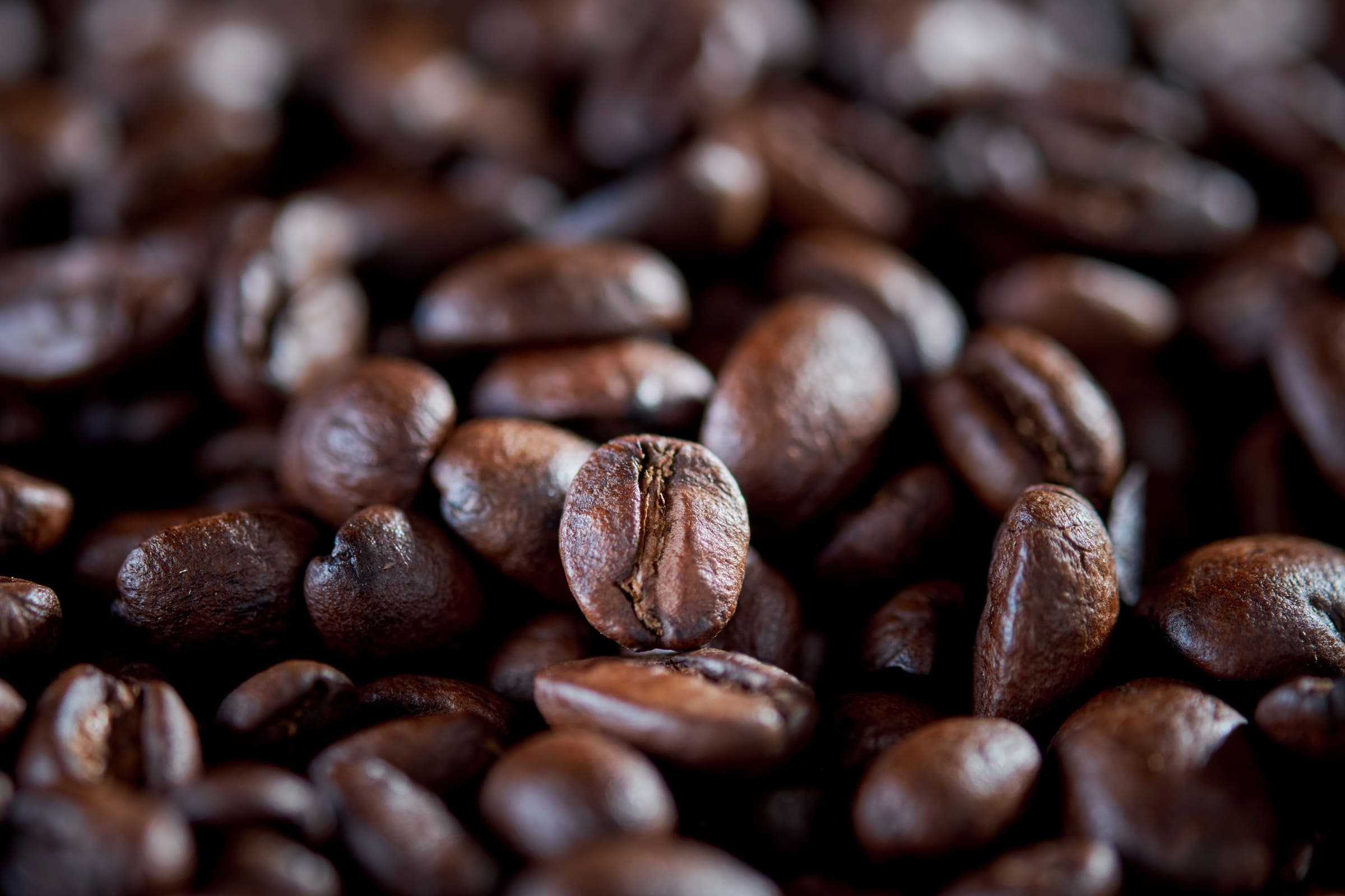 Detail of a roasted Dos Robles coffee bean
