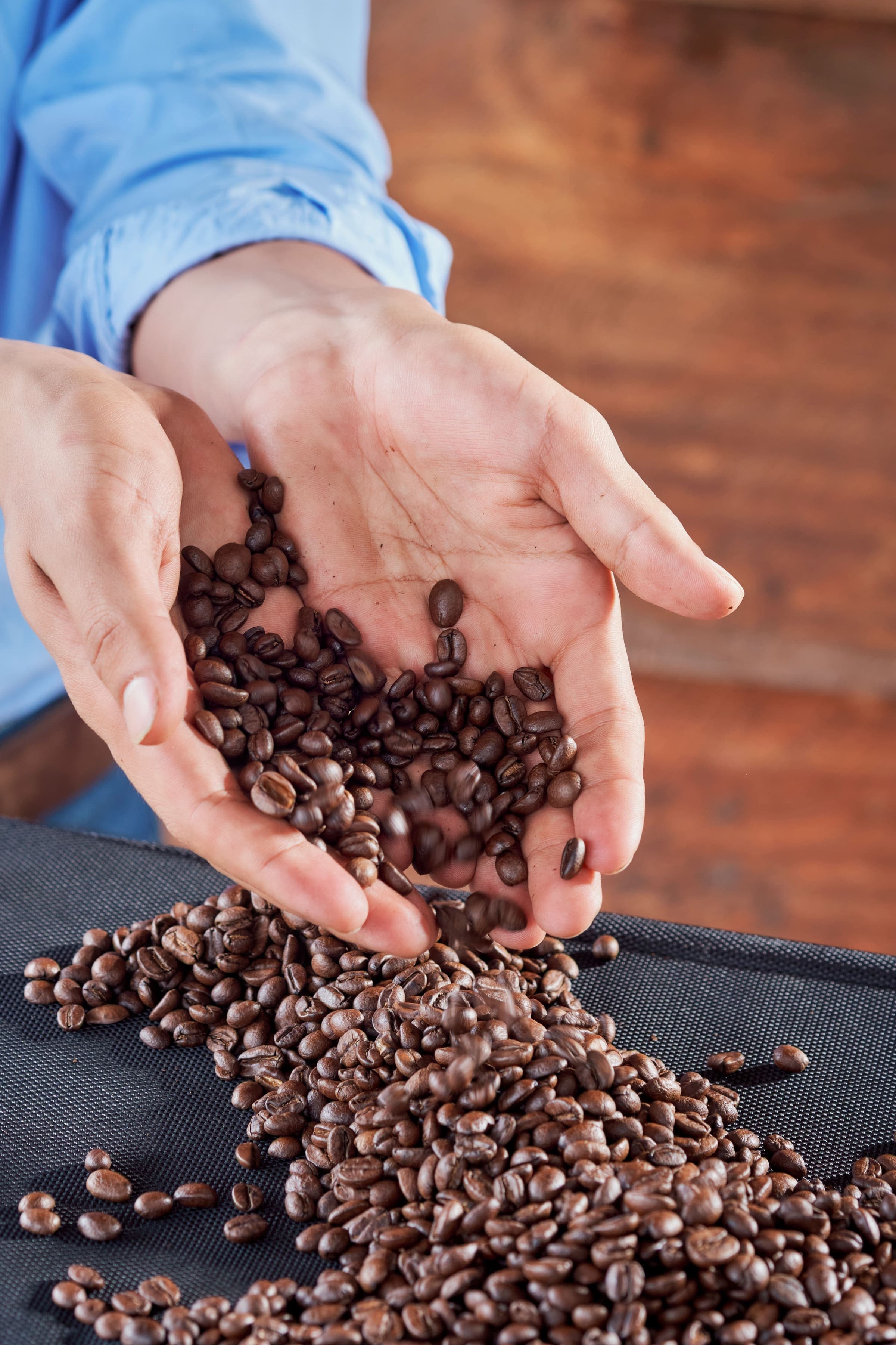 Hands holding roasted Dos Robles coffee beans — origin craftsmanship